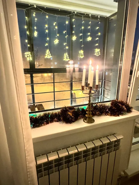 Уютная студия рядом с лесом