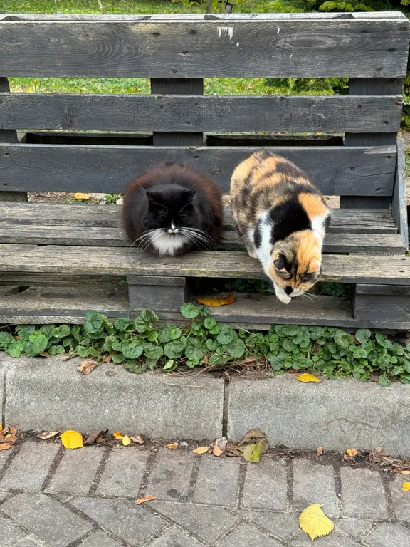 Квартира 2-комнатная квартира у моря — Зеленоградск