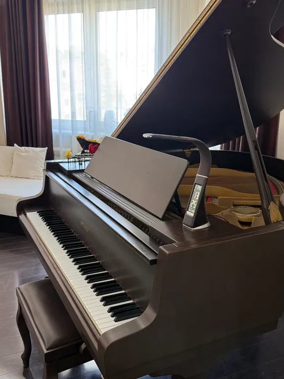 Квартира с роялем