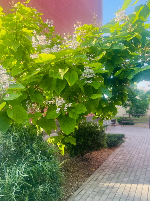 Комфортная квартира в новом комплексе Дарград, рядом с МегаАдыгея