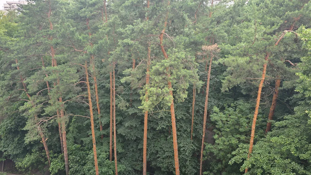 Уютная квартира рядом со ст. Отдых