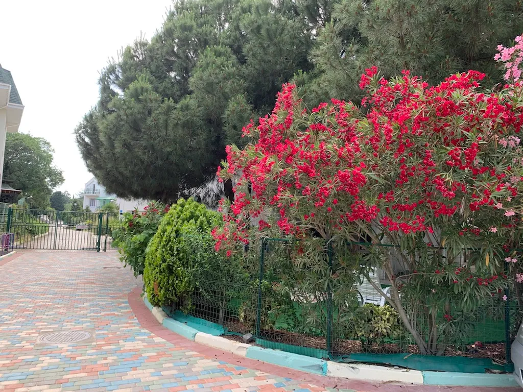 Апартаменты Морской Бриз