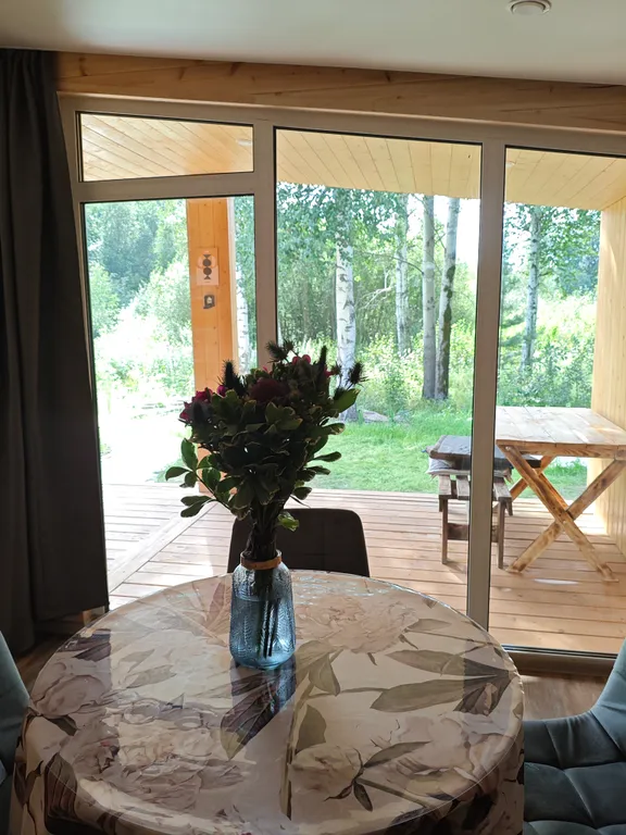 Дворик леса