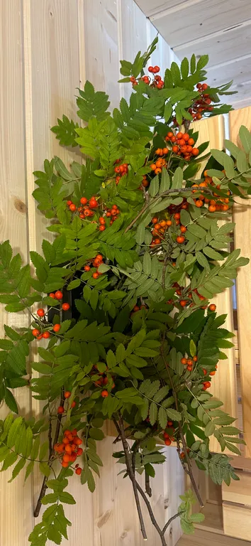 Загородный отдых в 10 минутах от Екатеринбурга