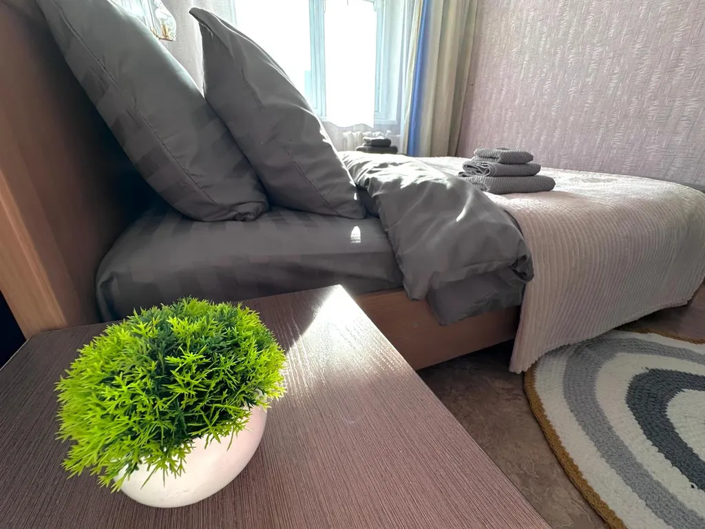 3х комнатная квартира в центре города