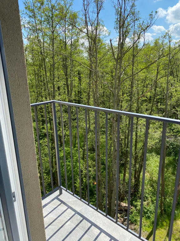 Квартира Апартаменты Релакс — Зеленоградск