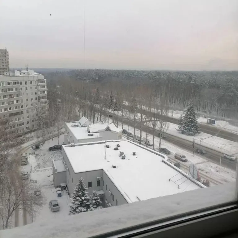 Уютная квартира около леса