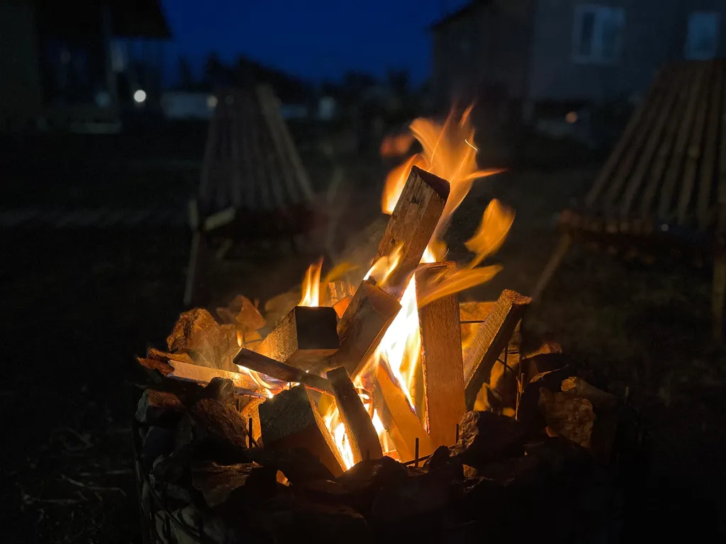 Дом Лесная гавань