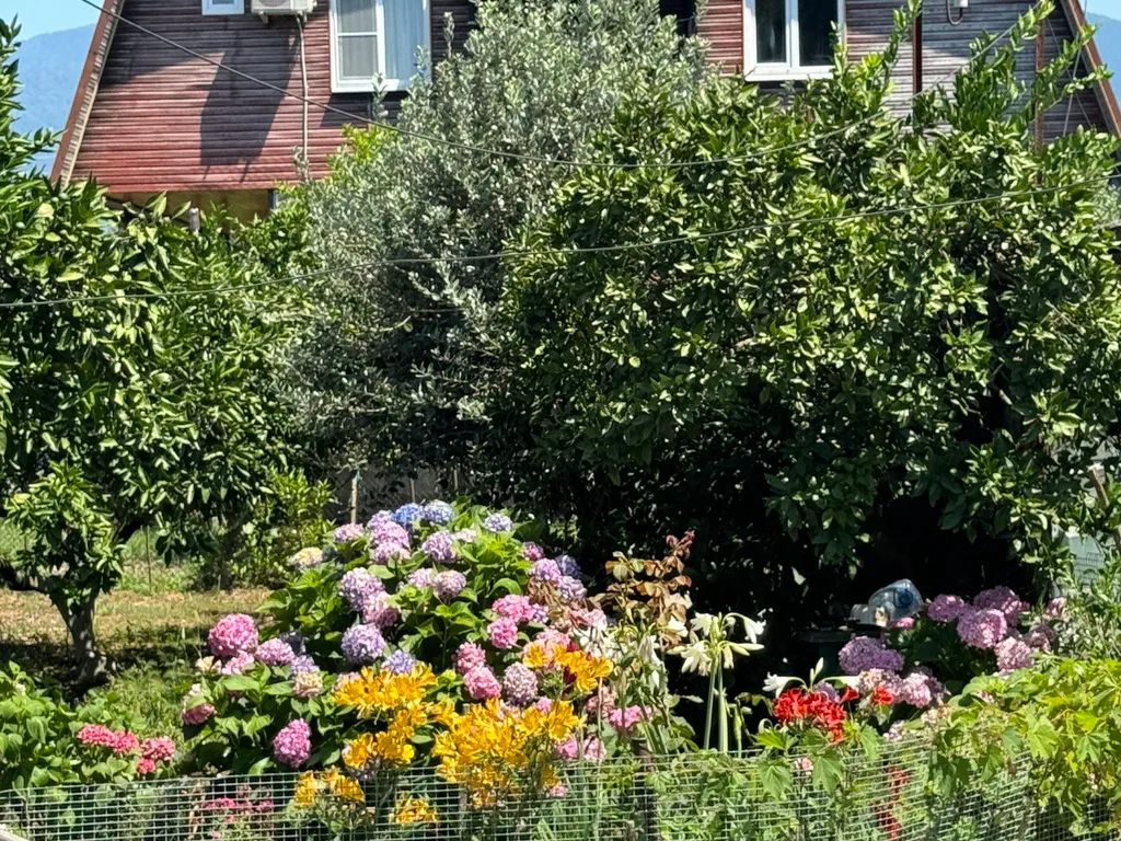 Просторный дом для большой компании