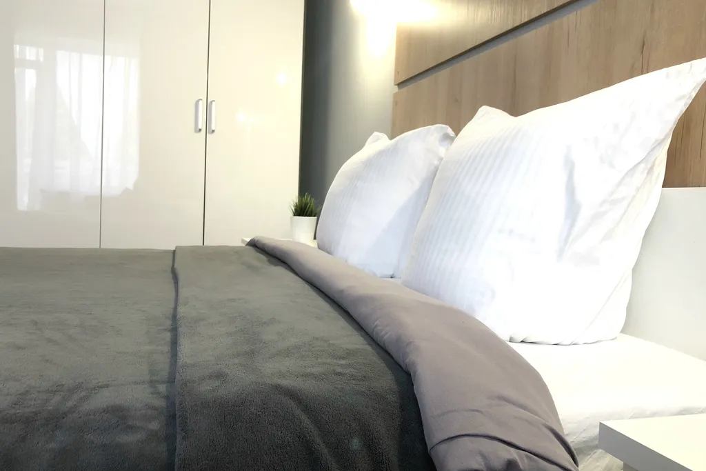 2-х  квартира в центре города (вблизи Алое Поле, Кировка, термы Лето )