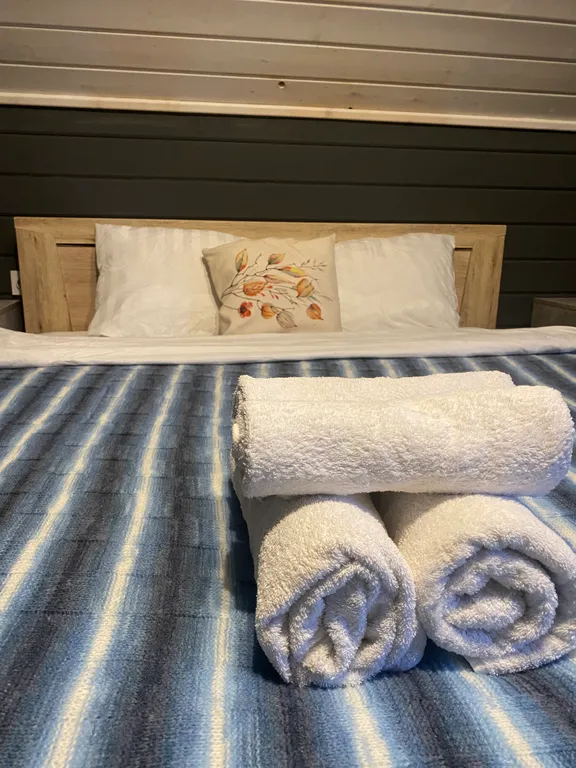 Дом с баней и Сибирским чаном у леса и озера