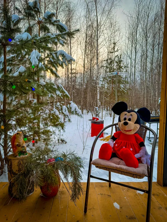 Лесной дом Микки с личной баней и чаном