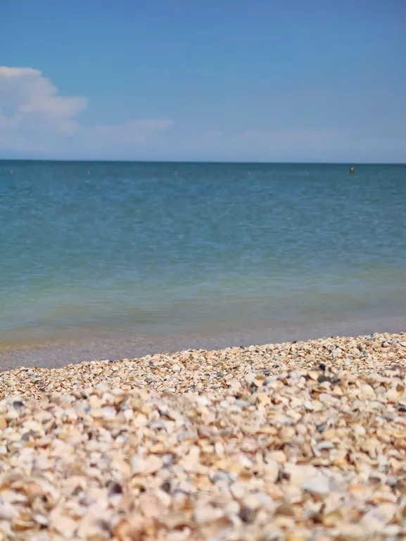 Уютный апартамент со своей кухней