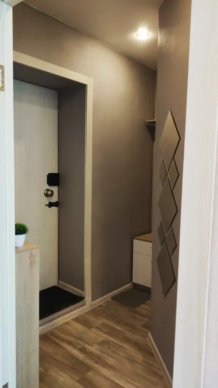 1-комнатная квартира с раскладным диваном и креслом