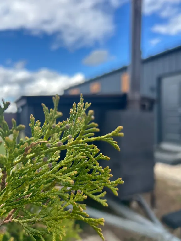 Эко-дом у озера с чаном, сауной и бильярдом