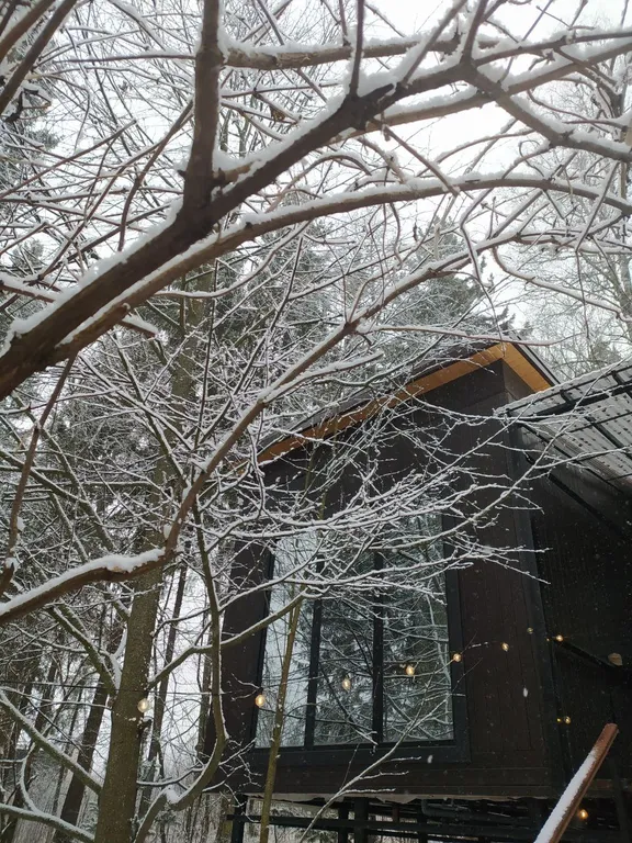 Дом с ванной у панорамных окон и высокой террасой в лесу