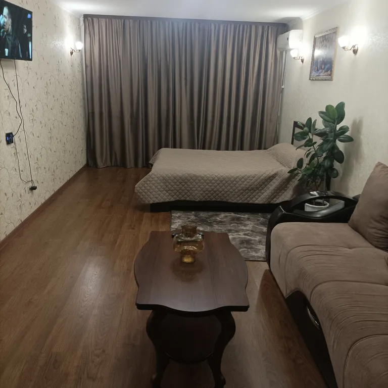 Большая и просторная 1-комнатная квартира