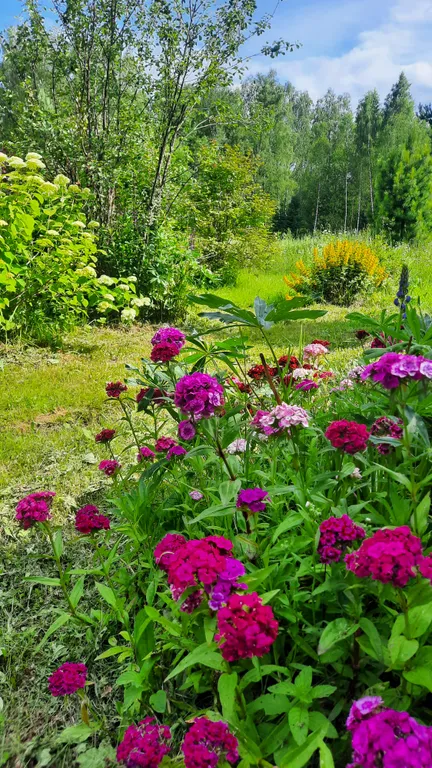 Домик Уют Самана в Родовом поместье в лесу