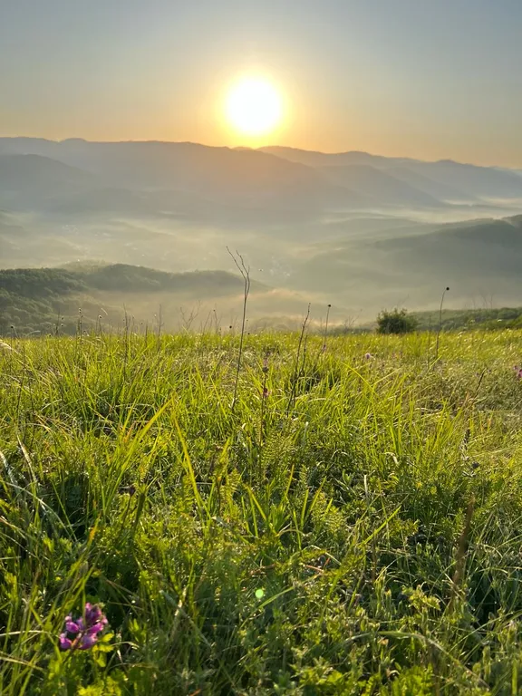 Почувствовать себя как дома во время отпуска — бесценно