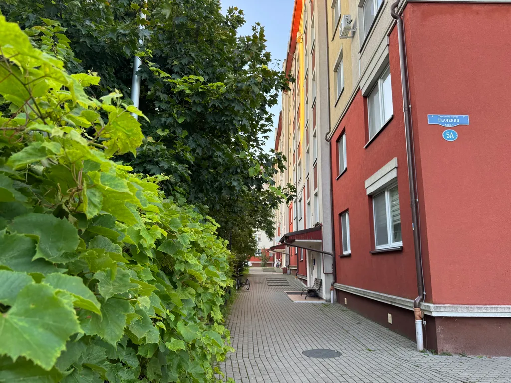 Квартира в центре Лазурная птичка