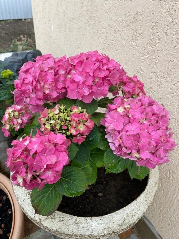 Уютный домик на берегу моря