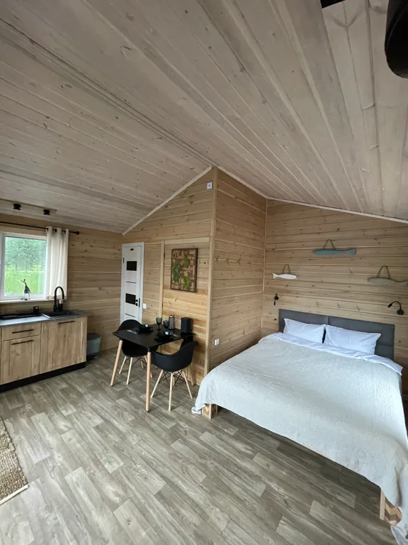 Дом на берегу реки, заснеженный лес, хаусбот