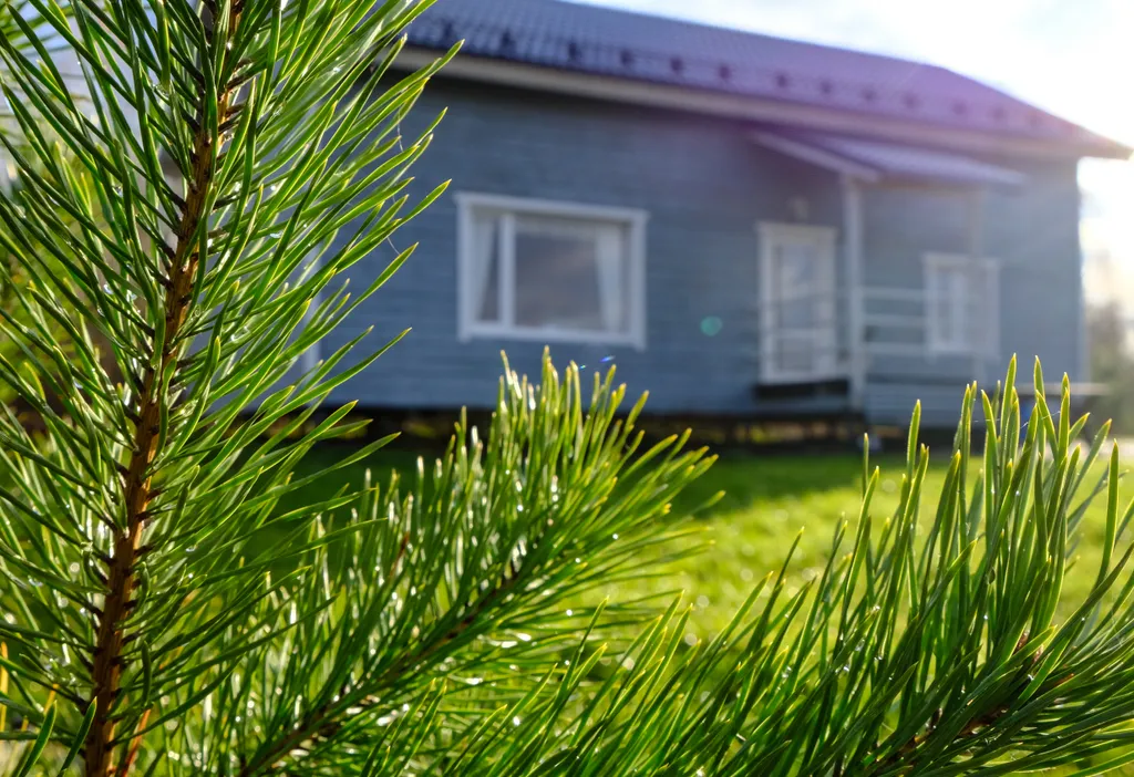 Уютный дом на берегу реки у водопада