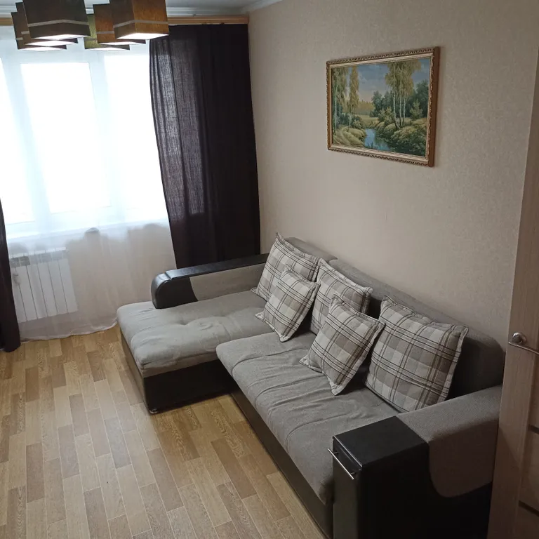 Комфортная однокомнатная квартира