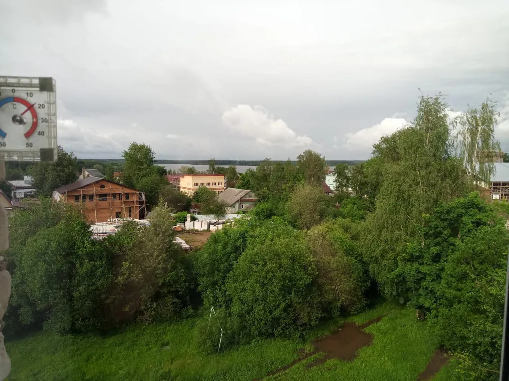 Пальмовая ветвь