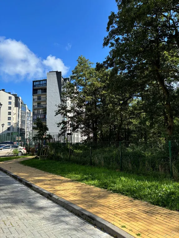 Квартира с видом на лес Куршской косы