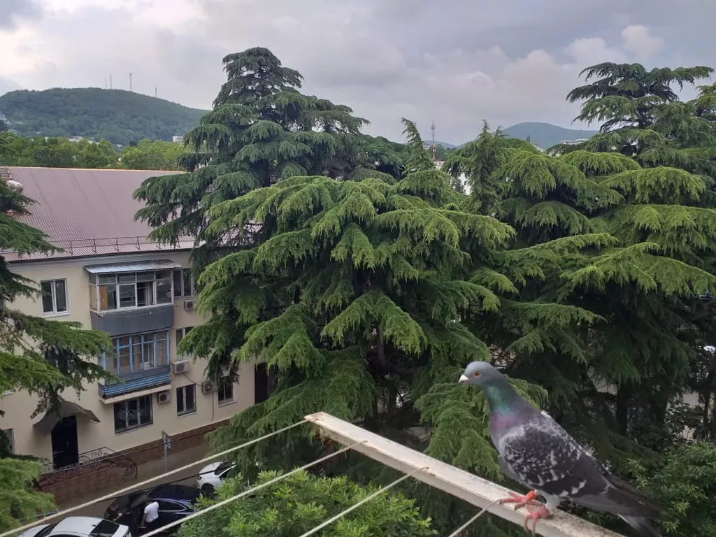 Уютная квартира в центре с прекрасным видом