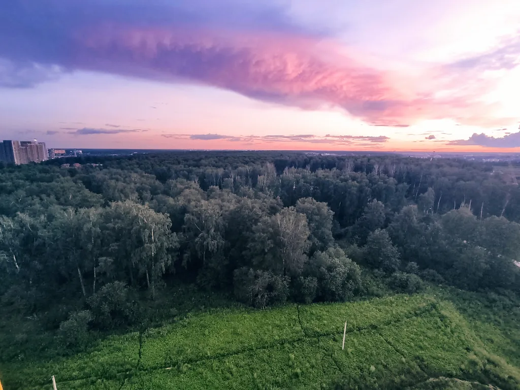 Квартира с балдахином натуральная мебель готика