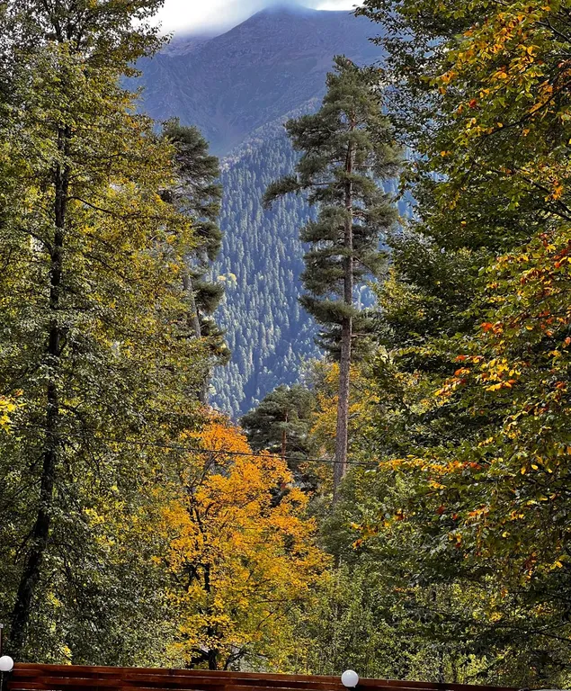 Квартира Комната — Архыз