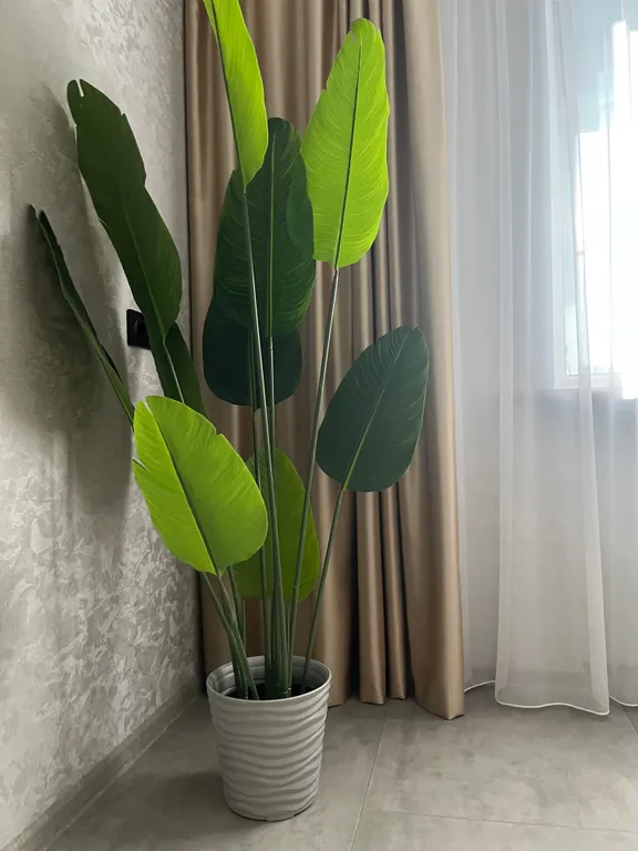 Апартаменты в центре города