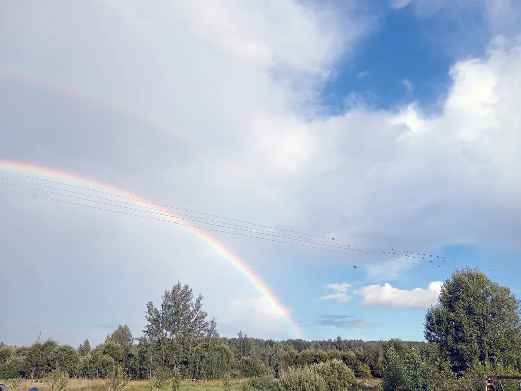 Дом в деревне