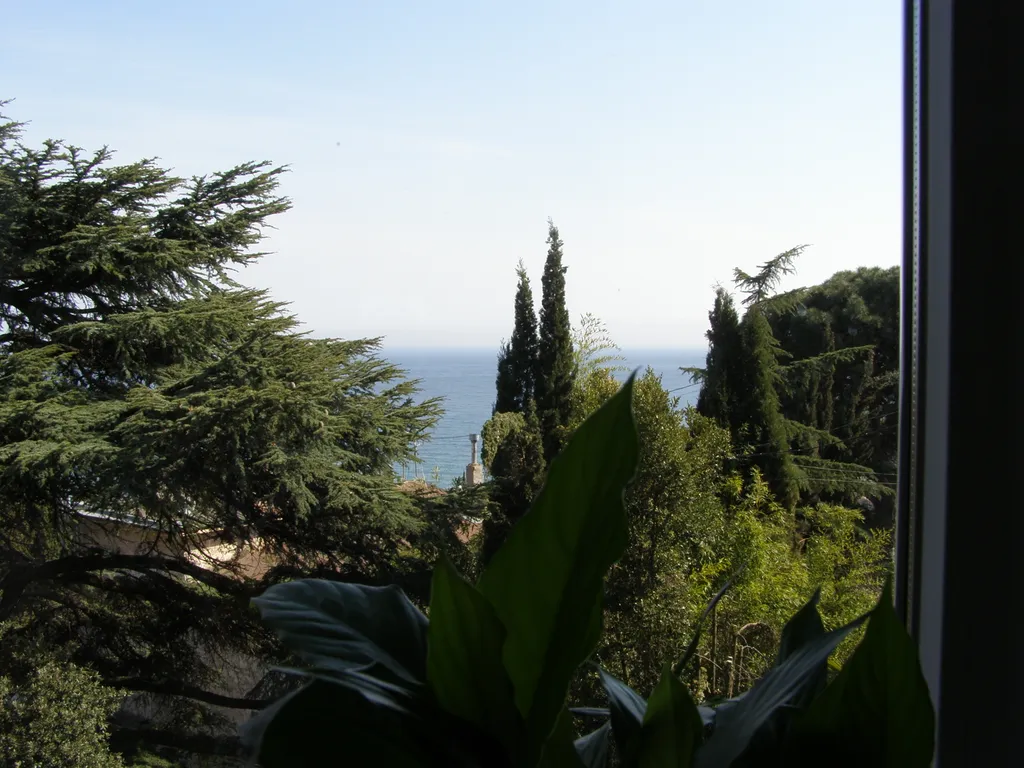 Студия в исторической части Ялты