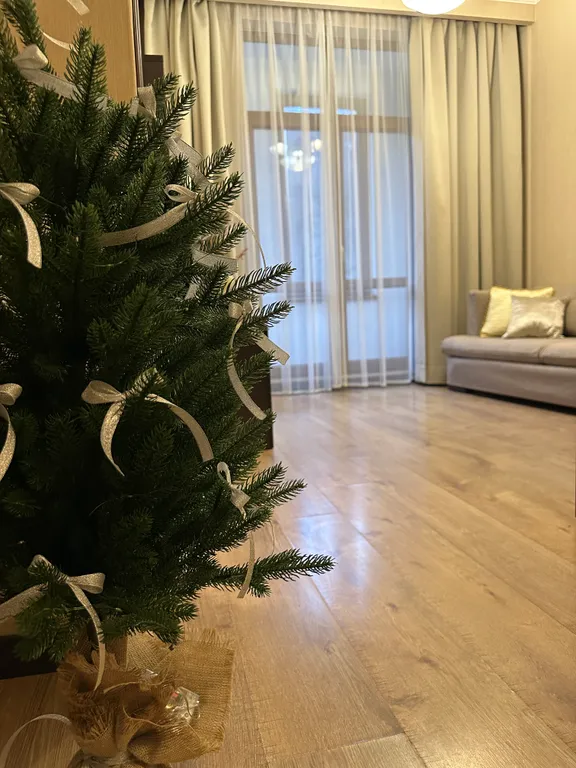 Современная просторная квартира в центре Красной Поляны