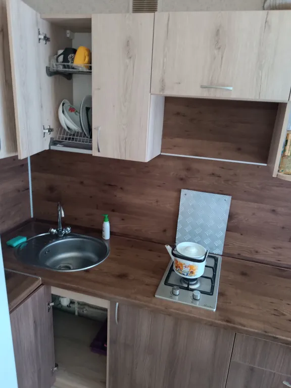 Квартира в парке имени Пушкина