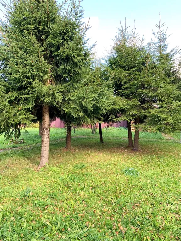 Коттедж Уютный дом с баней недалеко от Москвы — Селятино