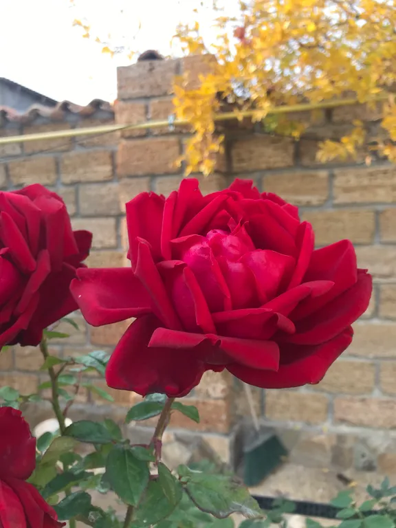 Коттедж Дом под черепицей — Солнечная Долина