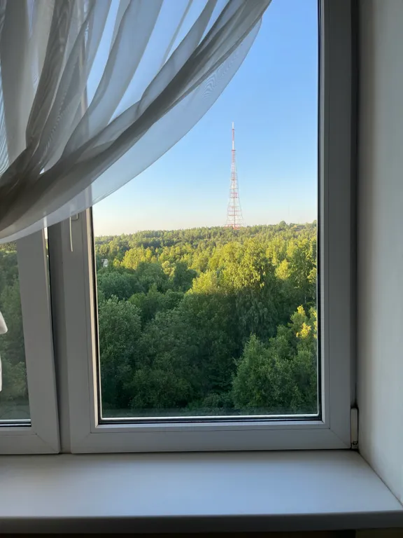 Уютная квартира с видом на лес