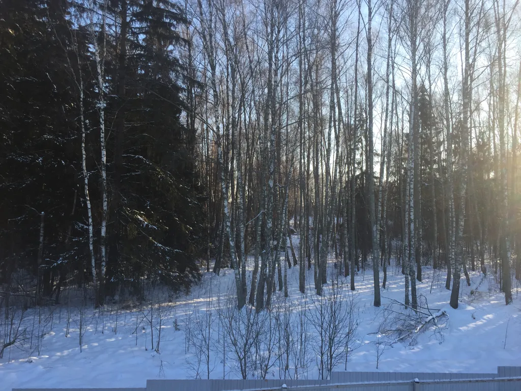 Коттедж Хороший дом — Можайск