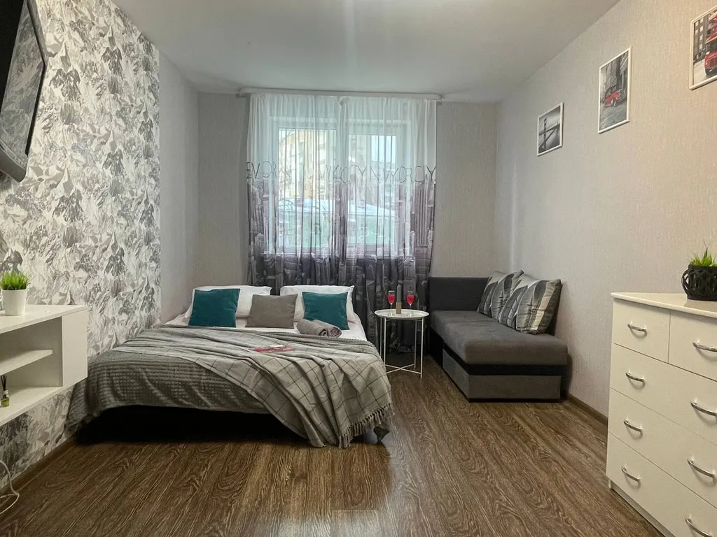 Уютная однокомнатная квартира от сети гостевых квартир Олимп