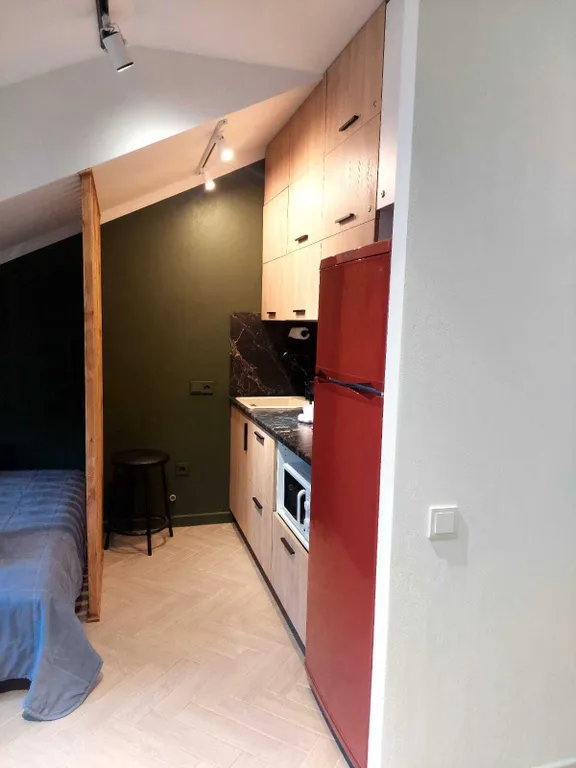 Уютная студия в Красной Поляне