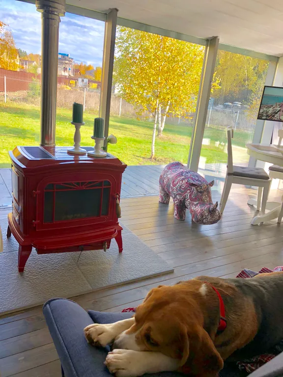 Дом носорога с камином