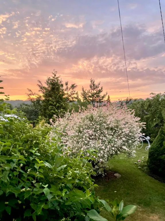 Уютный домик с видом на музей