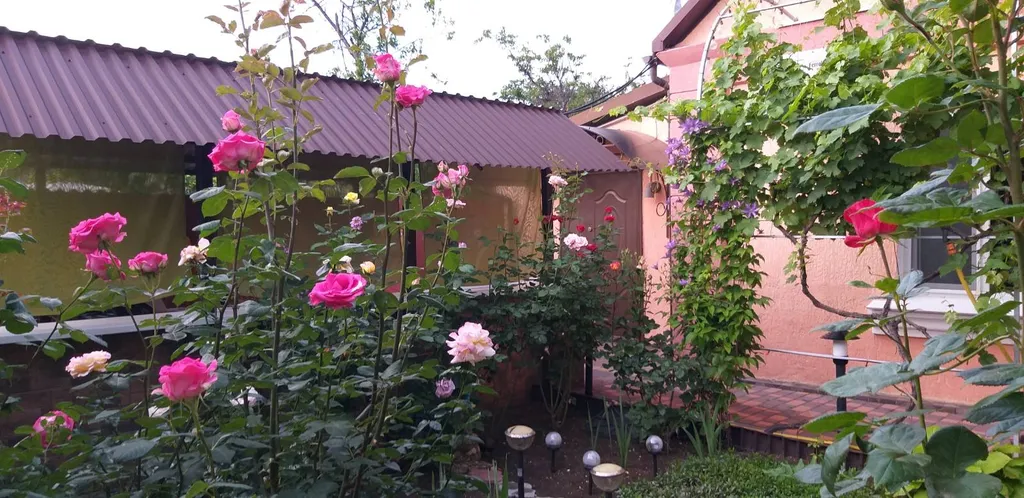 Дом без хозяев и других отдыхающих