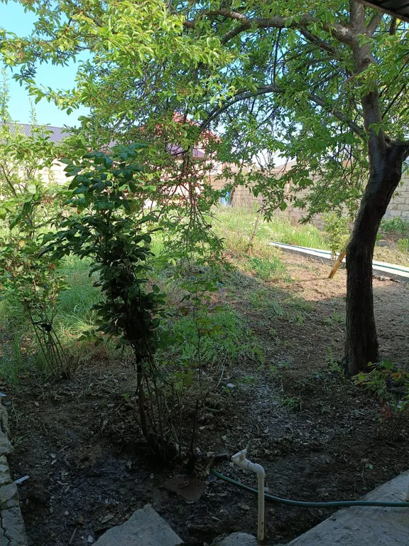 Уютная дача на берегу моря