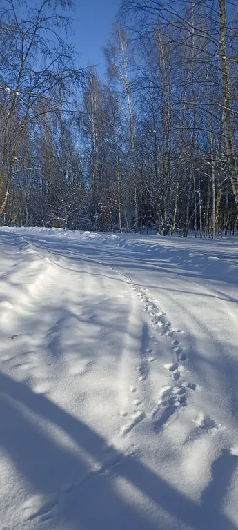 Усадьба Анатолия