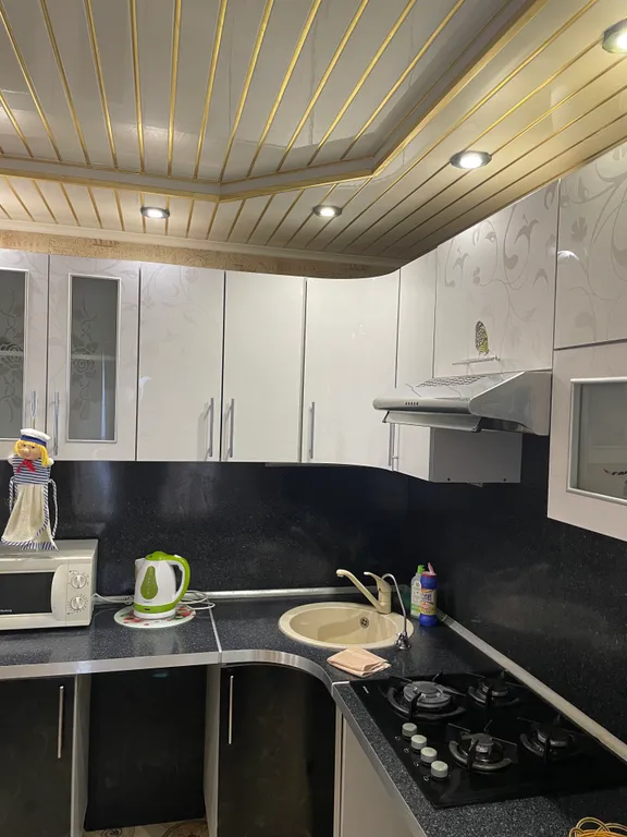 Уютная 2-комнатная квартира с видом на парк